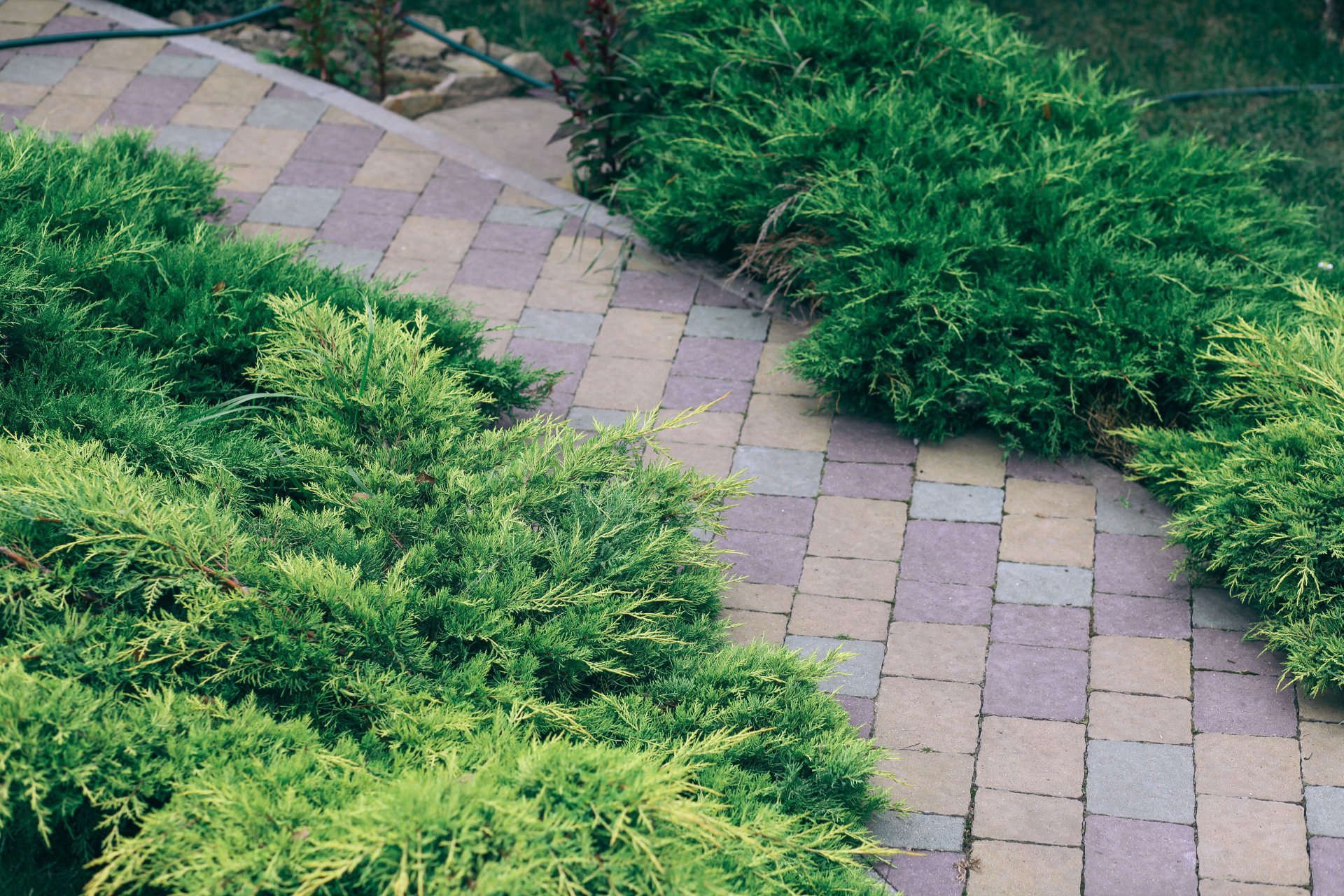 Pro Grade Sod and Stone MS logo